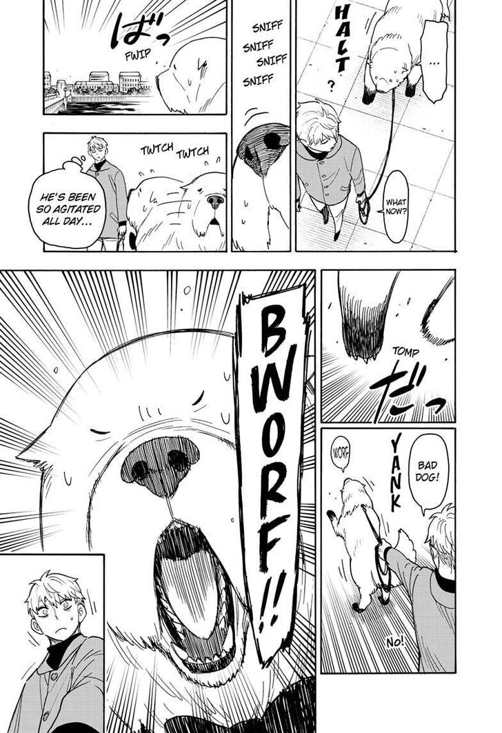Spy x Family, Chapter 58.1 image 13